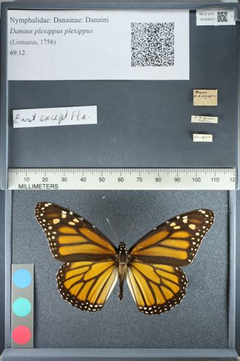 Media type: image;   Entomology 164973